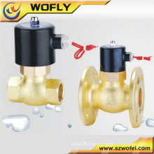 220v/36v/24v high speed brass steam solenoid valve brass material high temperature